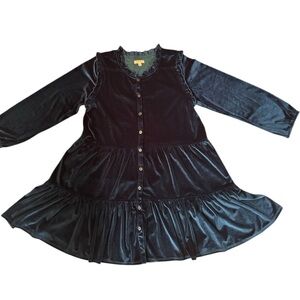 Pink Chicken Blue Velvet tiered babydoll Dress